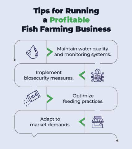 fish farming business plan pdf