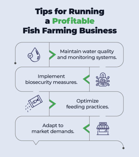 commercial fish farming business plan