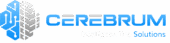 Copy of Cerebrum